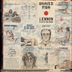 画像: John Lennon / Shaved Fish