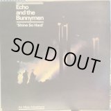 画像: Echo And The Bunnymen / Shine So Hard