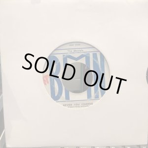 画像: The Maytals / Never You Change