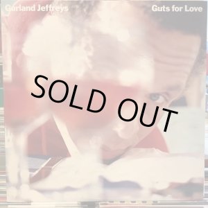 画像: Garland Jeffreys / Guts For Love