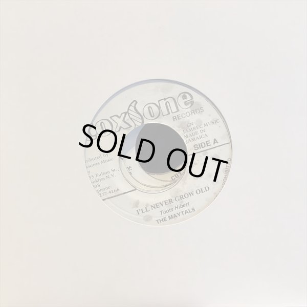 画像1: The Maytals / I'll Never Grow Old (1)