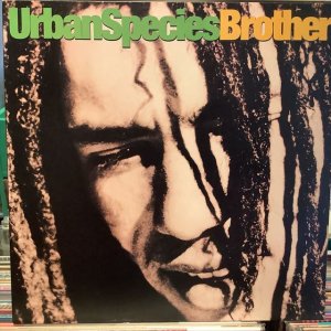 画像: Urban Species / Brother