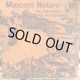 画像: Marconi Notaro / No Sub Reino Dos Metazoários
