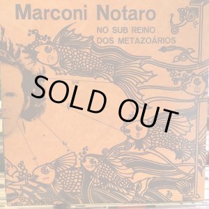 画像: Marconi Notaro / No Sub Reino Dos Metazoários
