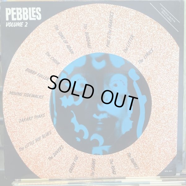 画像1: VA / Pebbles Volume 2 (1)