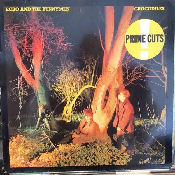 画像1: Echo And The Bunnymen / Crocodiles (1)