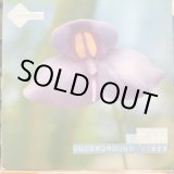 画像: DJ Cam / Underground Vibes