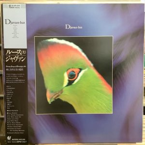 画像: Djavan / Luz