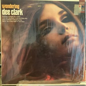 画像: Dee Clark / Wondering