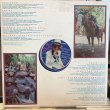 画像3: Elton John / Greatest Hits (3)