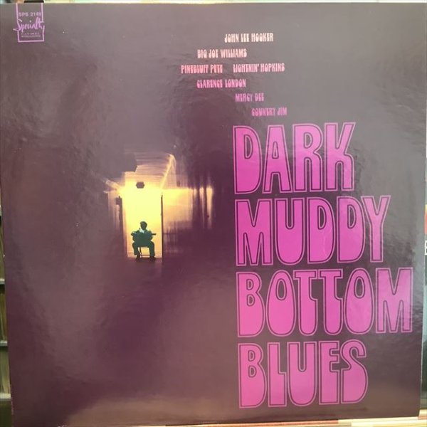 画像1: VA / Dark Muddy Bottom Blues (1)