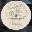 画像2: Hound Dog Taylor And The HouseRockers / Natural Boogie (2)
