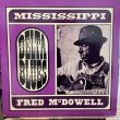 画像1: Mississippi Fred McDowell / Delta Blues (1)
