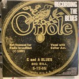 画像: VA / Recording The Blues