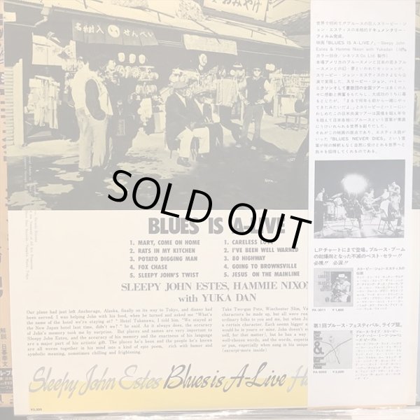 画像2: Sleepy John Estes, Hammie Nixon With 憂歌団 / Blues Is A-Live (2)