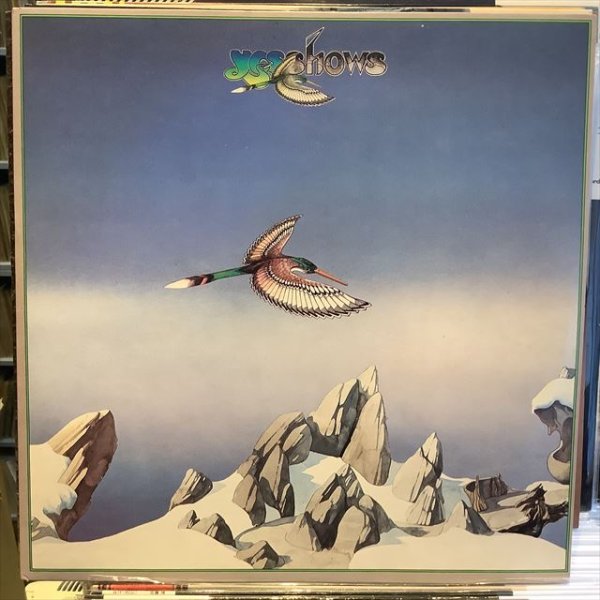 画像1: Yes / Yesshows (1)