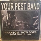 画像: Your Pest Band, The Invisible Teardrops / split