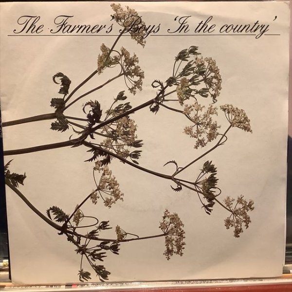 画像1: The Farmer's Boys / In The Country (1)
