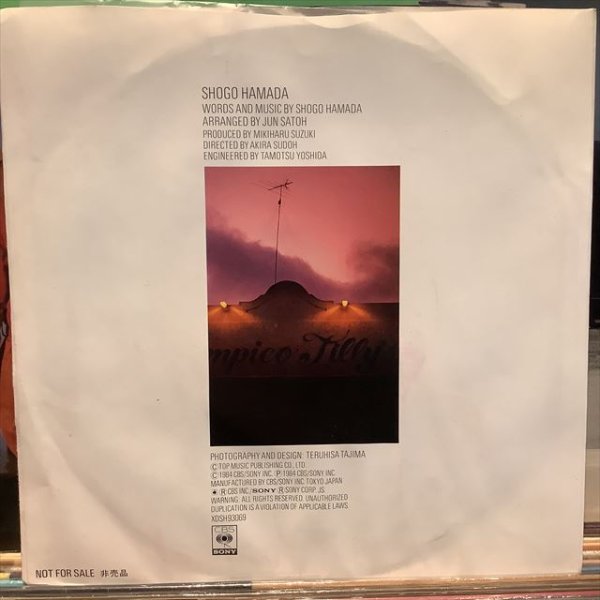 画像2: 浜田省吾 / いつわりの日々 (2)