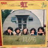 画像: 貝がら / 虹