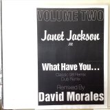 画像: Janet Jackson ‎/ What Have You... (Remix)
