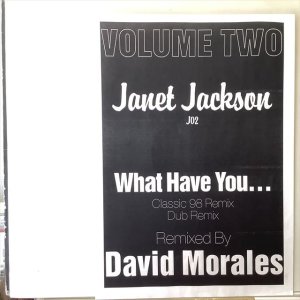 画像: Janet Jackson ‎/ What Have You... (Remix)