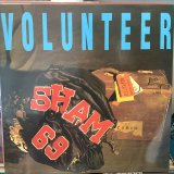 画像: Sham 69 / Volunteer