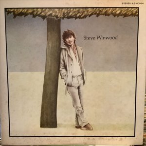 画像: Steve Winwood / Steve Winwood