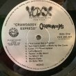 画像2: The Crawdaddys / Crawdaddy Express (2)
