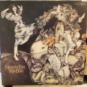 画像: Kate Bush / Never For Ever
