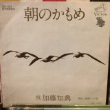 画像: 加藤知典 / 朝のかもめ