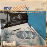 画像: 1986オメガトライブ / 君は1000%
