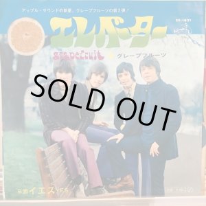 画像: Grapefruit / Elevator