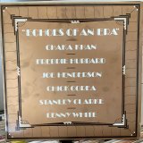 画像: Chaka Khan / Echoes Of An Era