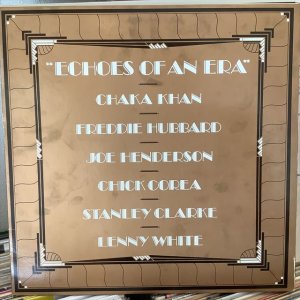 画像: Chaka Khan / Echoes Of An Era