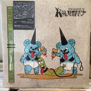 画像: 吉田達也, Martín Escalante / The Sound of Raspberry