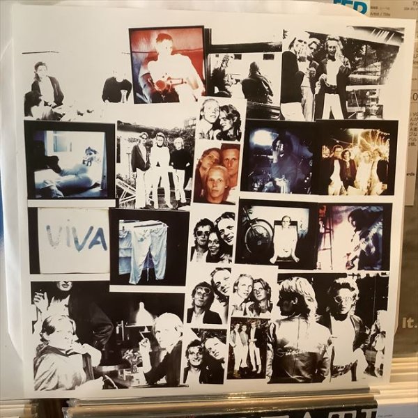 画像2: La Düsseldorf / Viva (2)