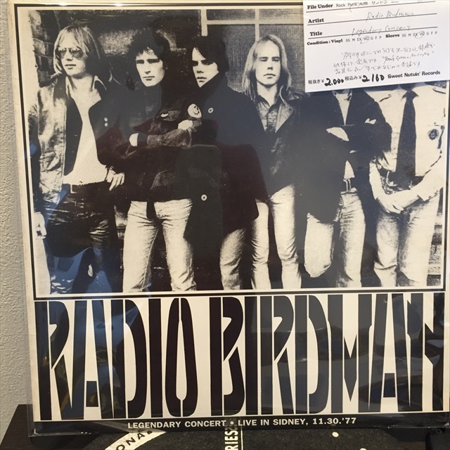 画像1: Radio Birdman / Legendary Concert (1)