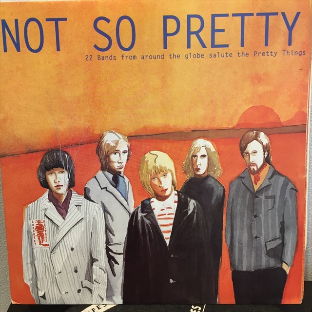 画像1: VA / Not So Pretty (1)