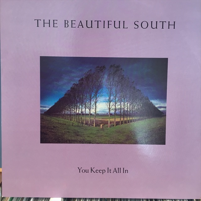 画像1: The Beautiful South / You Keep It All In (1)