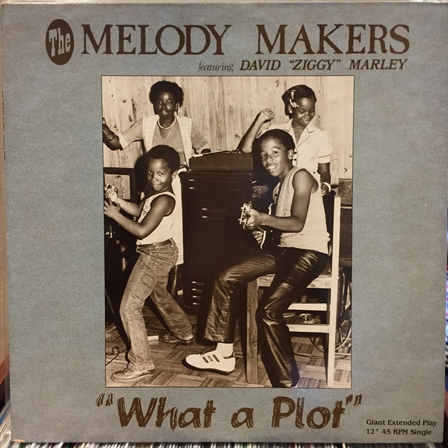 画像1: The Melody Makers / What A Plot (1)