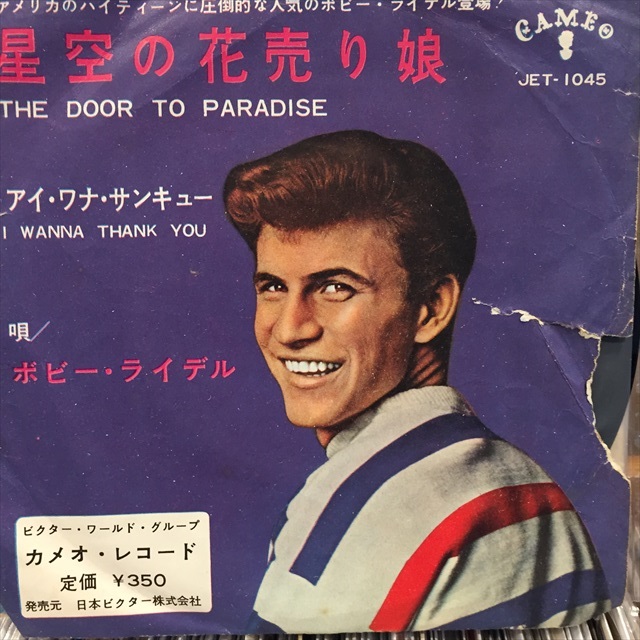 画像1: Bobby Rydell / The Door to Paradise (1)
