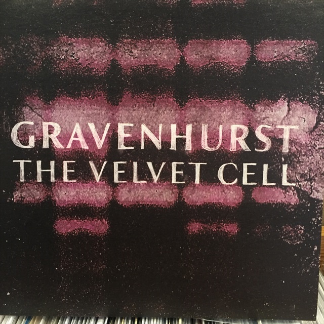 画像1: Gravehurst / The Velvet Cell (1)