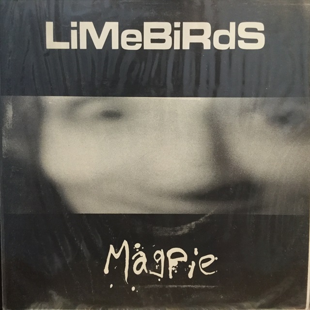 画像1: Limebirds / Magpie (1)