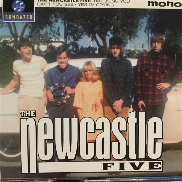 画像1: The Newcastle Five / I'm Losing You (1)
