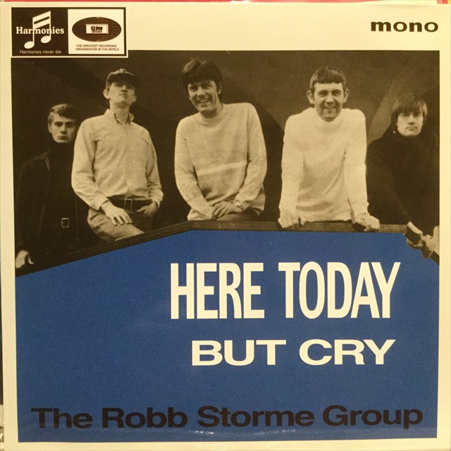 画像1: The Robb Storme Group / Here Today (1)