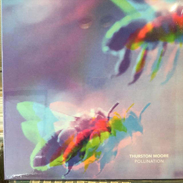 画像1: Thurston Moore / Pollination (1)