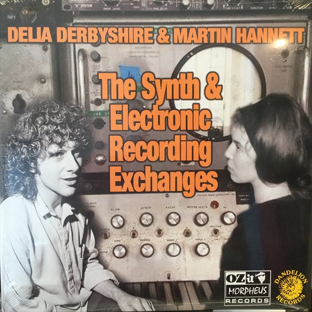 画像1: Delia Derbyshire & Martin Hannett / The Synth And Electronic Recording Exchanges (1)