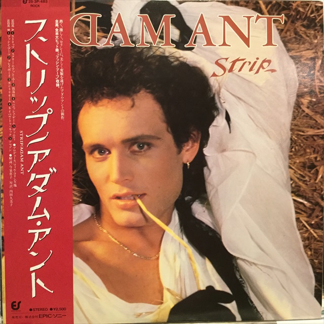 画像1: Adam Ant / Strip (1)