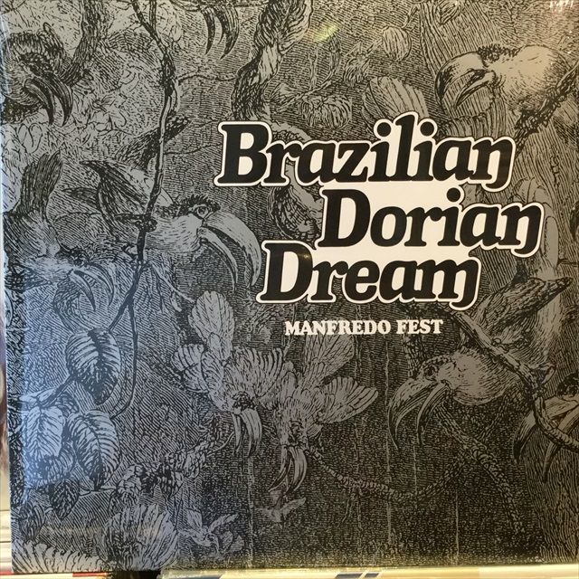 画像1: Manfredo Fest / Brazilian Dorian Dream (1)